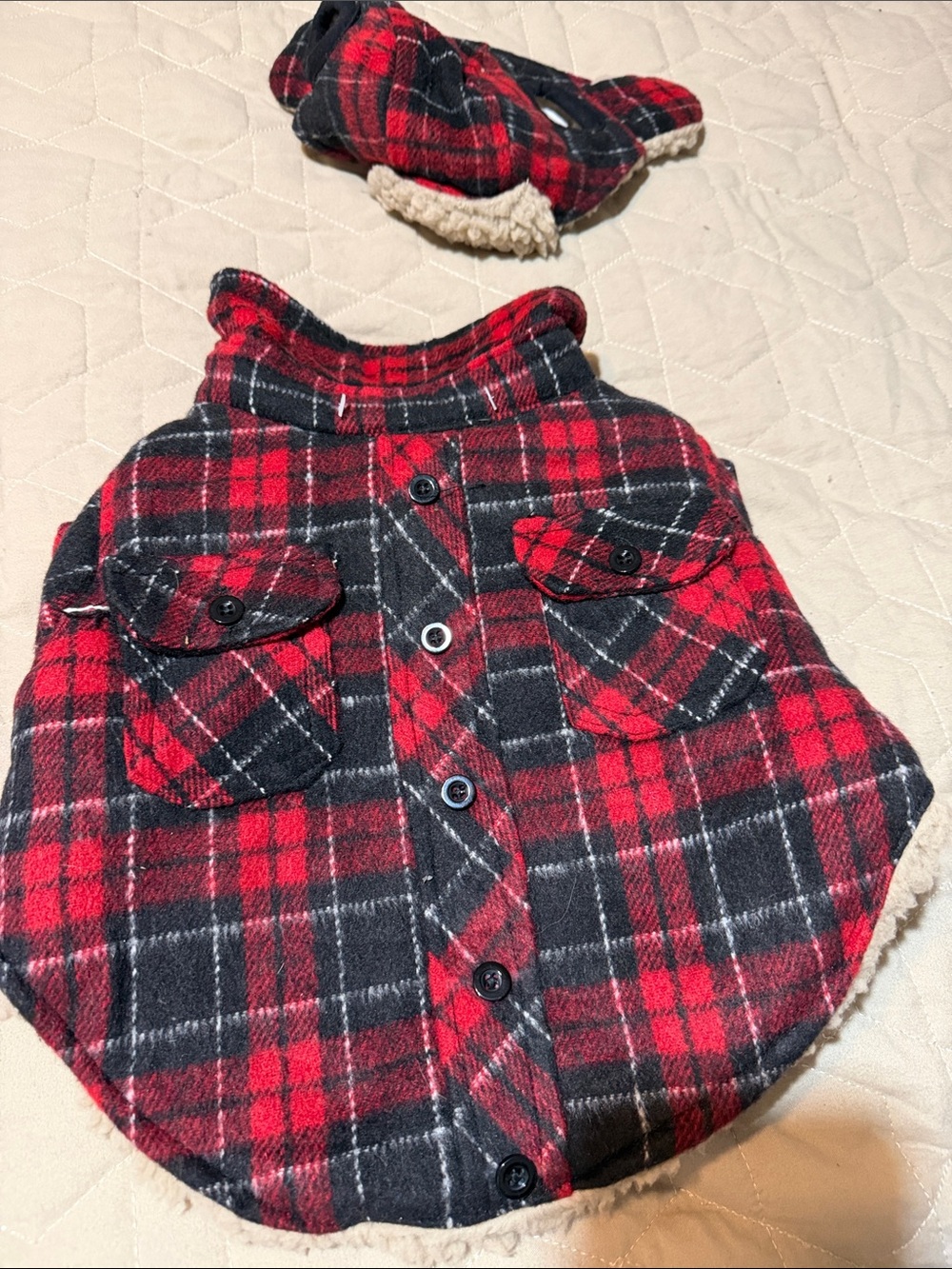 Doggy plaid coat and hat set